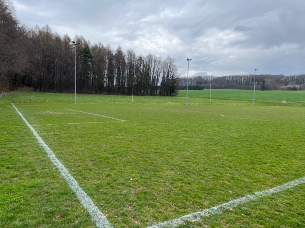 Centre Sportif de la Ruayre terrain B - Crissier