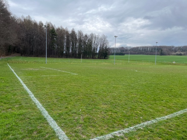 Centre Sportif de la Ruayre terrain B - Crissier