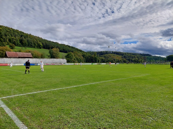 Sportanlage Detzeln - Waldshut-Tiengen-Detzeln