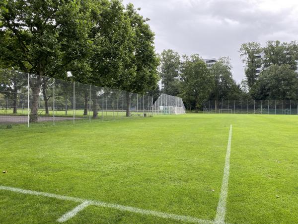 Sportanlage Bachgraben Platz 1 - Allschwil