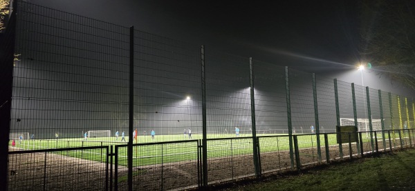 Karl-Siegmeier-Sportanlage Platz 2 - Leipzig-Kleinzschocher