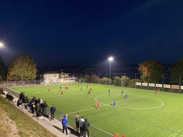 Sportplatz Cholenmoos - Oberrieden