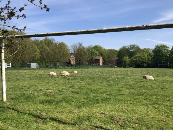 Sportanlage Borghorstweg - Münster/Westfalen-Gievenbeck