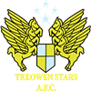 Wappen Treowen Stars FC