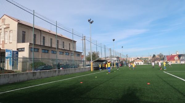 Štadión SDM Domino ihrisko 2 - Bratislava