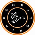 Wappen Polisportiva Dora Torino  106027