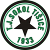 Wappen TJ Sokol Tišice  113860