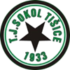 Wappen TJ Sokol Tišice