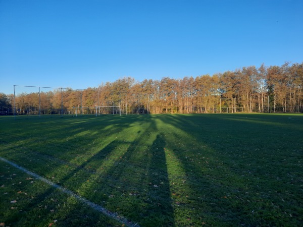Sportpark Drachtster Bos F-Veld - Smallingerland-Drachten
