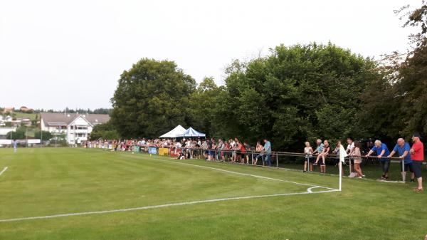 Sportplatz Waldgarten - Heimberg