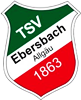 Wappen TSV Ebersbach 1863 diverse  52982