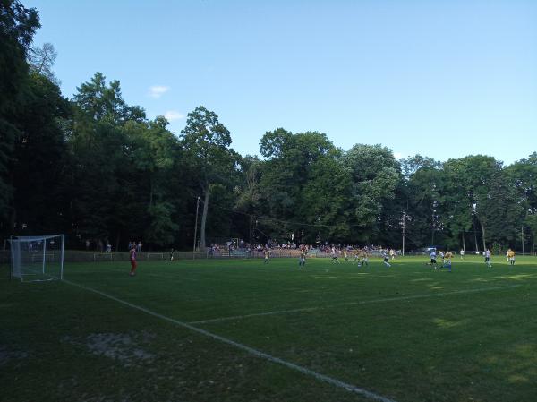 Stadion Gminny w Piotrowicach - Strzyżewice