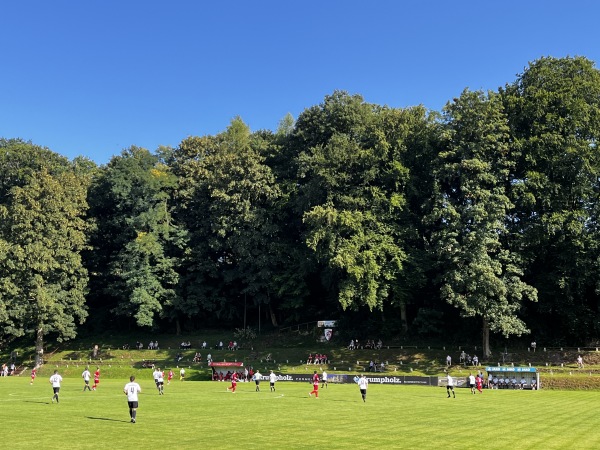 Stadion an der Hammermühle - Kronach