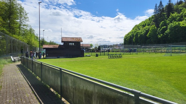 Sportanlage Schefflenztalstraße - Billigheim/Baden