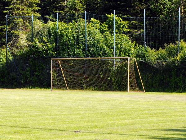 Sportplatz am Rosenfreibad - Harpstedt