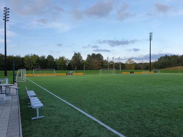 Henning Have Stadion - Vejen