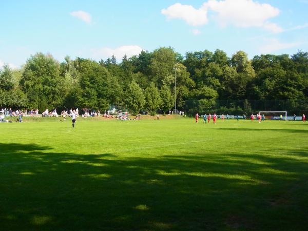 Sportanlage am Theresienstein - Hof/Saale