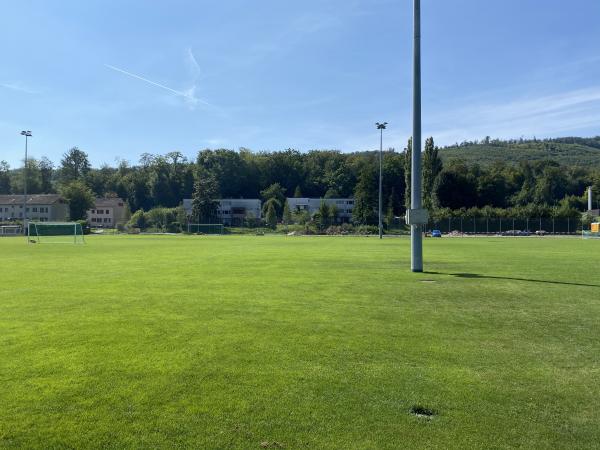 Sportanlagen Kleinholz Platz 3 - Olten