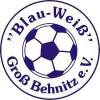 Wappen SV Blau-Weiß Groß Behnitz 1925  38150