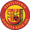 Wappen TJ Družstevník Diviacka Nová Ves  127635