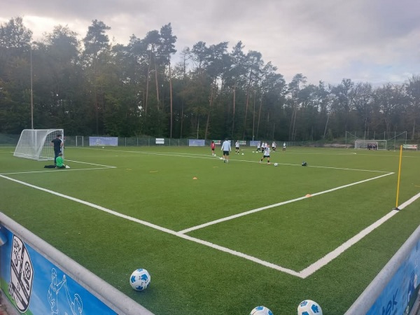 Sportanlage Mainflinger Straße Platz 3 - Mainhausen-Zellhausen