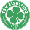 Wappen TSV Eiselfing 1966 diverse