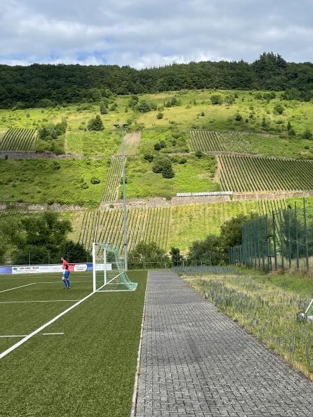 Sportplatz an der Mosel - Reil/Mosel