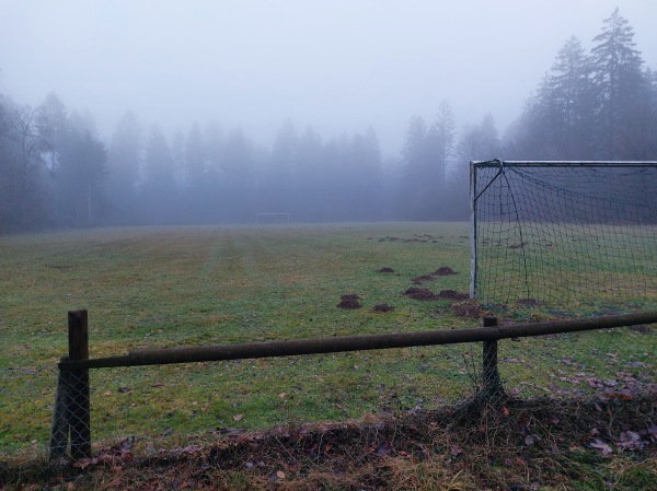 Waldsportplatz Kirchseeon - Kirchseeon