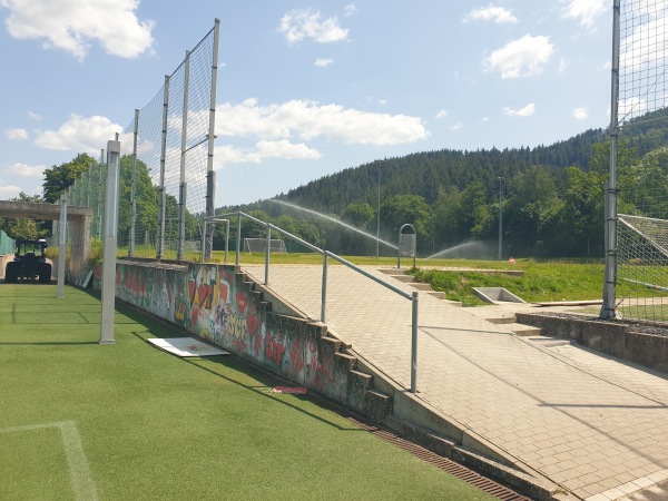 Fußballschule am Möslestadion - Freiburg/Breisgau