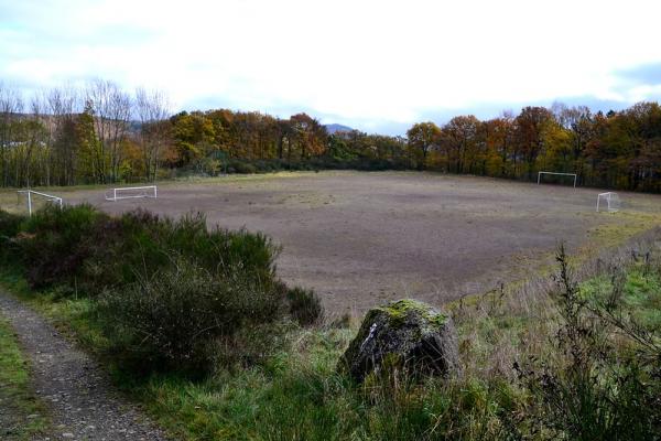 Sportplatz im Wald - Volkesfeld