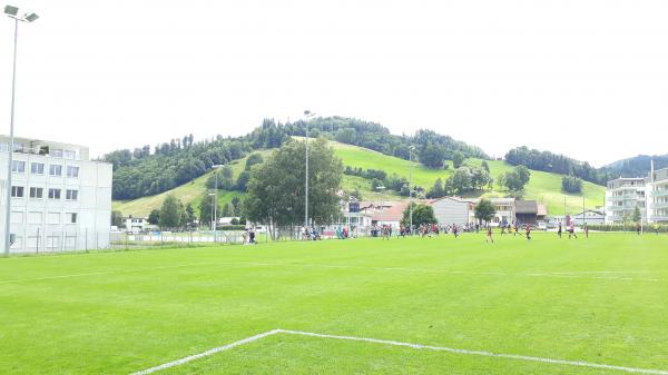 Sportplatz Schlyffi - Einsiedeln