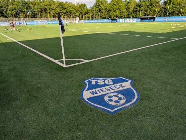 Stadion Am Ried Jugendförderzentrum Platz 2 - Gießen-Wieseck