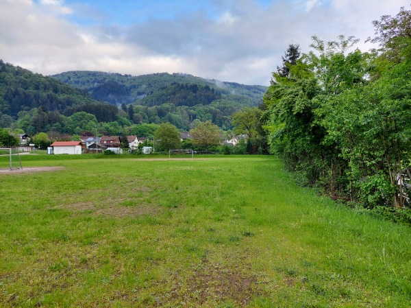 Frankenmattstadion Nebenplatz 1 - Wehr/Baden