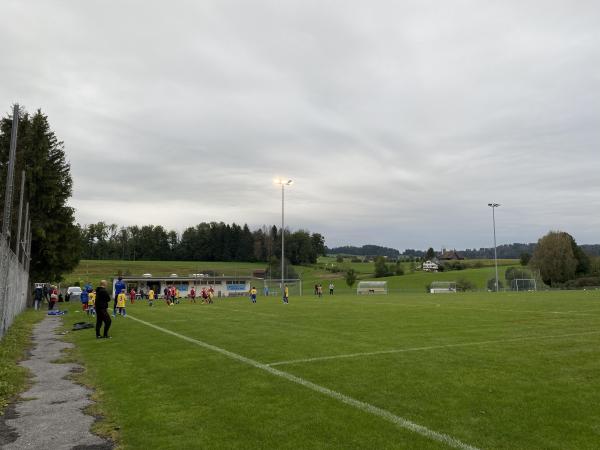 Sportplatz Schönegg - Wädenswil