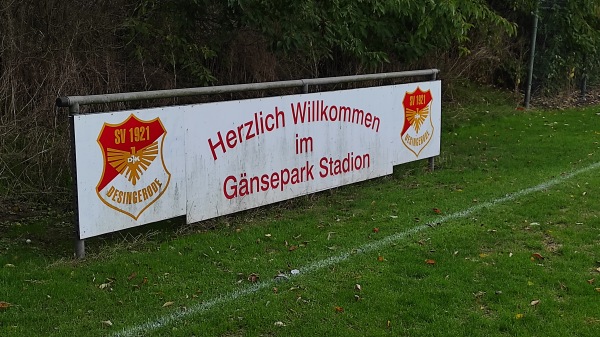 Gänsepark Stadion - Duderstadt-Desingerode