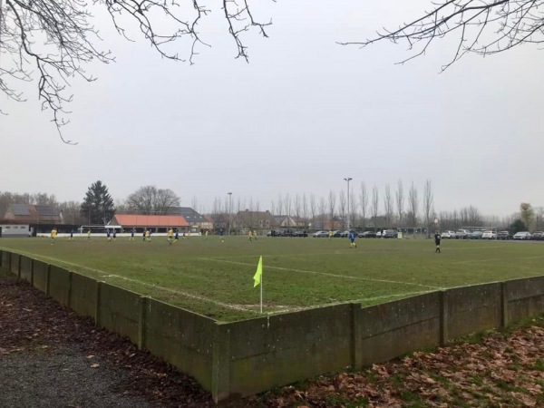 Terrein Pelikaanstraat - Oudenaarde-Voor-Eine