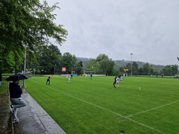 Sportplatz Steinacker - Winterthur