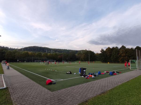 Sportpark Grütt Platz 5 - Lörrach