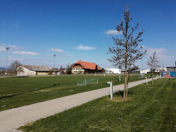 Stade Communal d'Avenches terrain annexe - Avenches