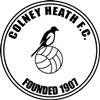 Wappen Colney Heath FC  84167