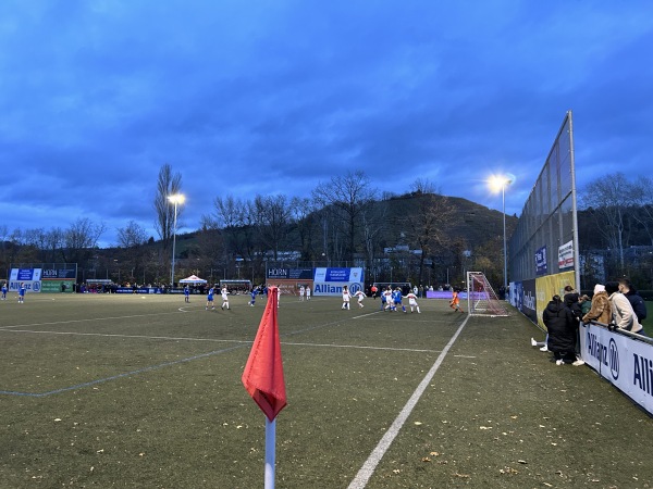 Sportanlage Hafenbahnstraße Platz 2 - Stuttgart-Obertürkheim