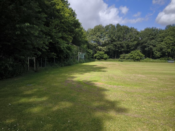 Sportpark De Wijchert veld 6 - Wijchen