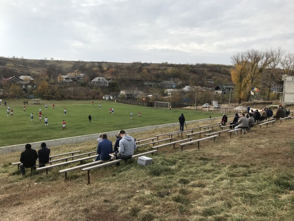 Stadionul Sătesc - Sireți