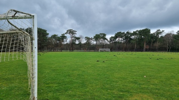 Jeugdcomplex ´t Gestelbos Terrein 10 - Lommel