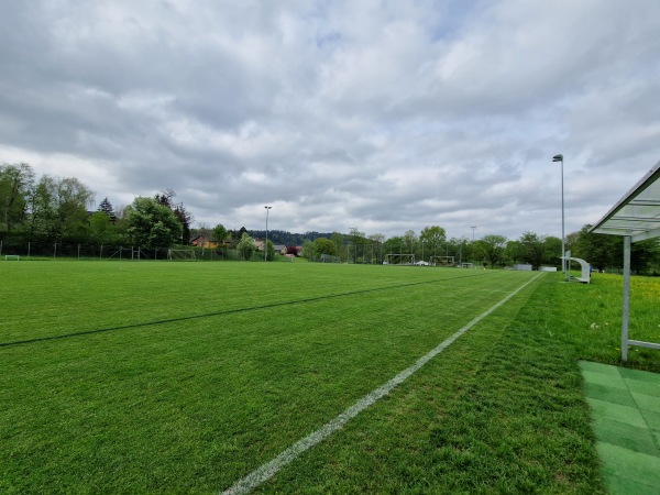 Sportplatz Niderwis Platz 2 - Elsau