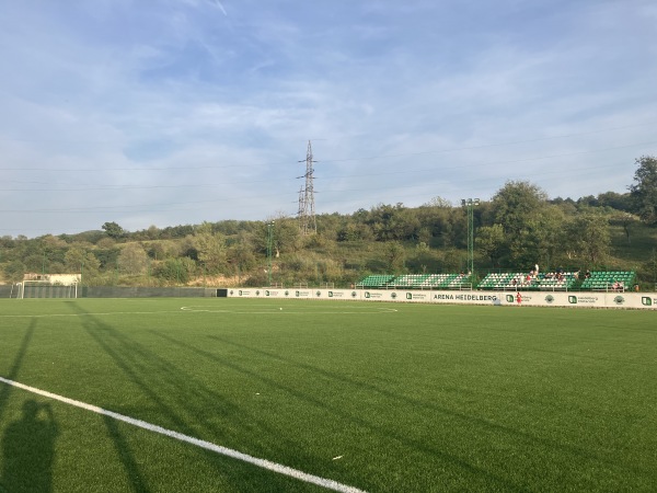 Arena Heidelberg - Chișcădaga