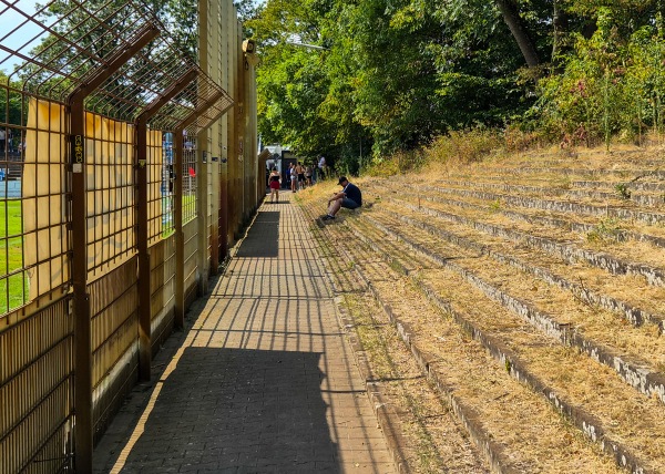 Rhein-Neckar-Stadion - Mannheim