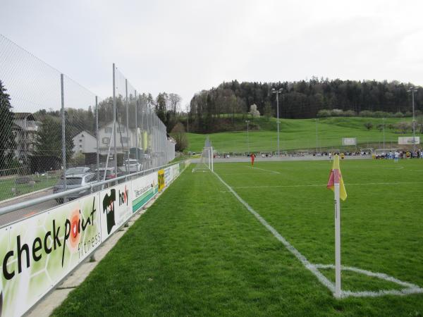 VTAG-Arena - Flawil