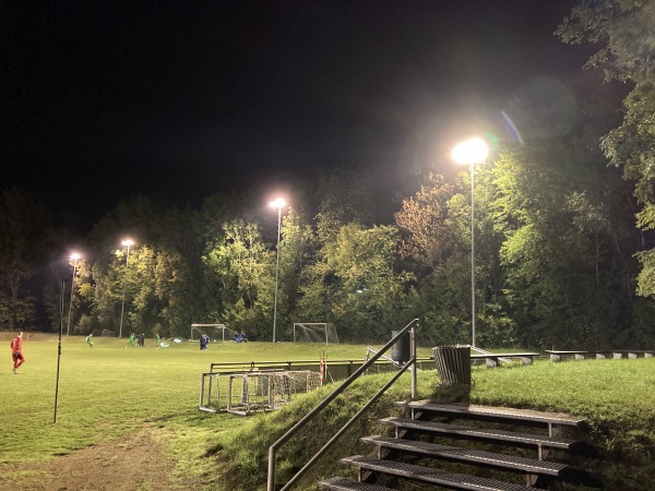 Wingert-Sportpark - Bad Homburg vor der Höhe-Ober-Erlenbach