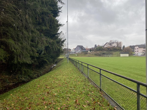 Sportplatz Baumann Federn - Ermenswil